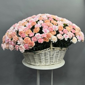 Композиция в корзине из 251 диантуса микс в Краснозаводске