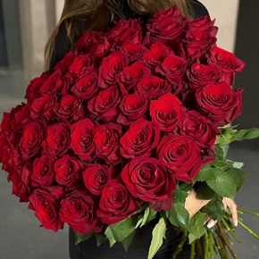 Букет 51 роза Эквадор Эксплорер (60 см) в Краснозаводске