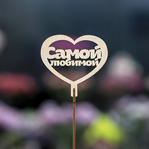 Топпер Самой Любимой в Краснозаводске