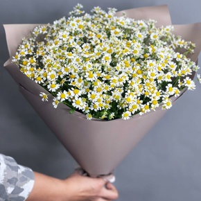 Букет из 17 ромашек танацетум в Краснозаводске