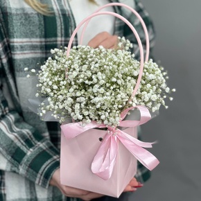 Композиция в сумочке из гипсофил в Краснозаводске