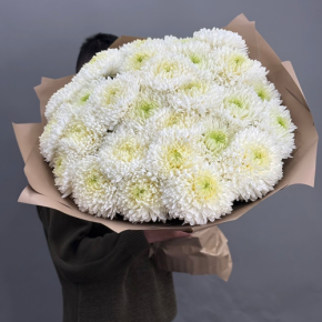 Букет из 27 хризантем Магнум в Краснозаводске