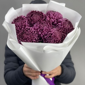 Букет "Винная легенда" из 7 хризантем Бигоуди в Краснозаводске