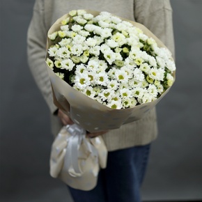 Букет "Милая моя" из 17 хризантем сантини в Краснозаводске