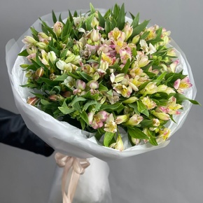 Букет "Зарина" из 37 альстромерий микс в Краснозаводске