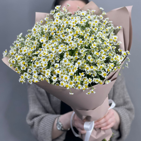 Букет из 17 полевых ромашек в Краснозаводске