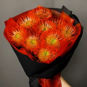 Букет из 9 лейко в Краснозаводске