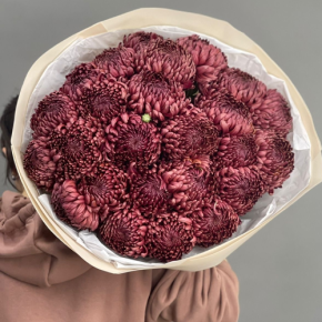 Букет 21 шоколадной хризантемы Бигоуди в Краснозаводске