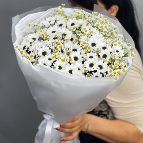 Букет "Понарошку" из хризантем сантини и ромашек в Краснозаводске