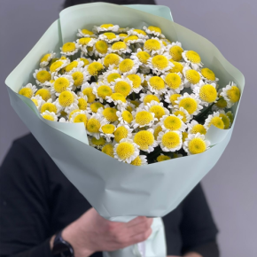 Букет "Моё солнышко" из 17 хризантем сантини  в Краснозаводске