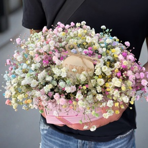 Композиция в коробке сердца из радужных гипсофил с топпером в Краснозаводске