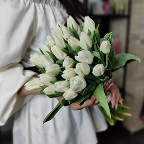 Букет белоснежных тюльпанов (25 шт) в Краснозаводске