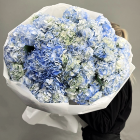 Букет из 23 синих гортензий в Краснозаводске