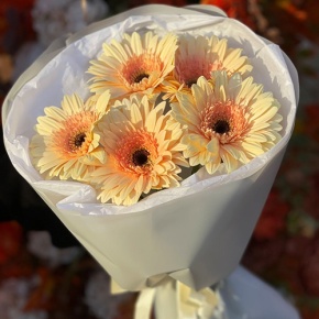 Букет из 5 персиковых гербер в Краснозаводске