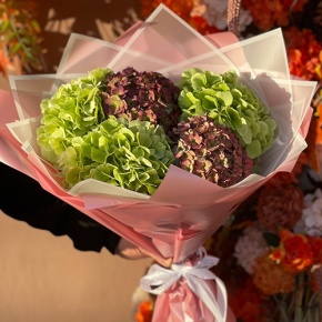 Букет из Голландских гортензий микс в Краснозаводске