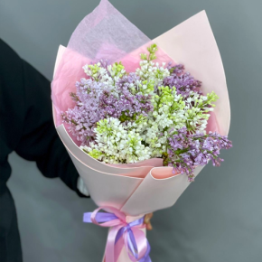 Букет из 11 веток сирени микс в Краснозаводске