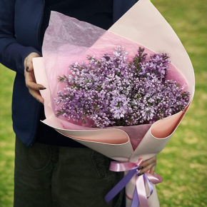 Букет из 11 веток сирени в Краснозаводске