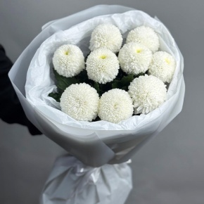 Букет из 9 белых хризантем Момоко в Краснозаводске