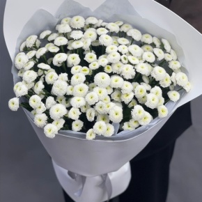 Букет "Белая дымка" из 25 хризантем сантини в Краснозаводске