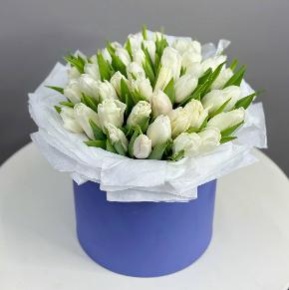 Букет из 49 белых тюльпанов в синей коробке в Краснозаводске