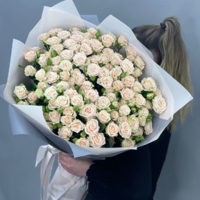 Букет из 25 кремовых кустовых роз (70 см) в Краснозаводске
