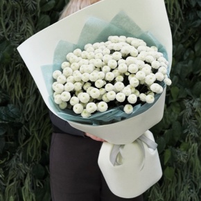 Букет из 25 хризантем Ньютон в Краснозаводске