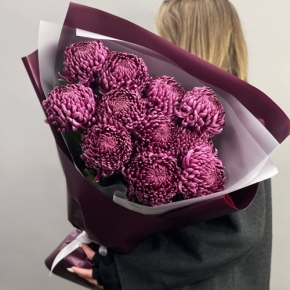 Букет "Изобилие" из 11 винных хризантем Бигоуди в Краснозаводске