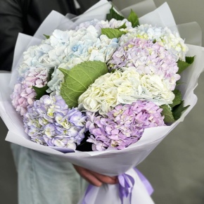 Букет из 9 Голландских гортензий микс в Краснозаводске