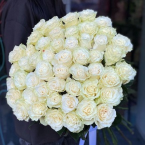 Букет из 51 розы Эквадор Мондиаль под ленту (80 см) в Краснозаводске