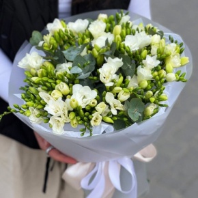 Букет из 51 белой фрезии в Краснозаводске