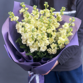 Букет из 15 лимонных маттиол в Краснозаводске