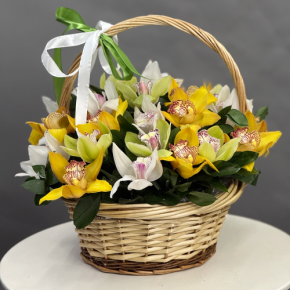 Композиция в корзине из 25 орхидей микс в Краснозаводске