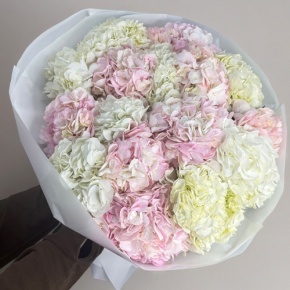 Букет из 17 нежных гортензий в Краснозаводске