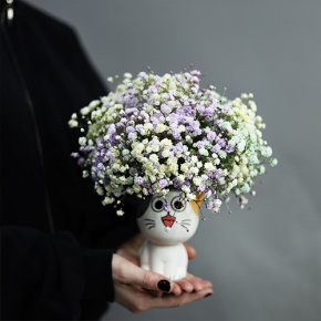 Композиция из гипсофил в керамическом кашпо в Краснозаводске