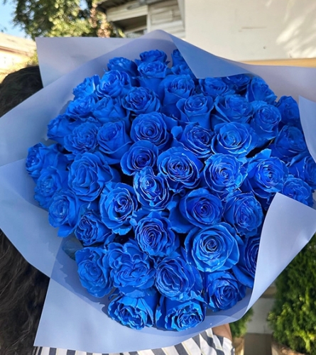 Букет из 51 синей розы Эквадор (60 см) в Краснозаводске