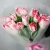 Букет "Фламинго" из 11 пионовидных тюльпанов в Краснозаводске Букет "Фламинго" из 11 пионовидных тюльпанов в Краснозаводске