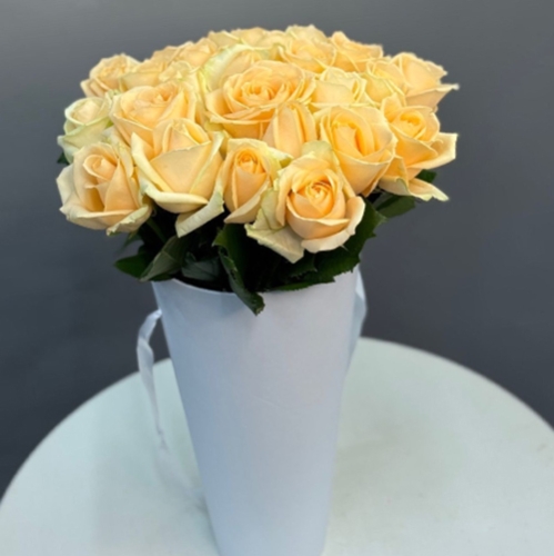 25 кремовых роз в конусе в Краснозаводске