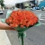 Букет из 51 мандариновой розы (40 см) в Краснозаводске Букет из 51 мандариновой розы (40 см) в Краснозаводске