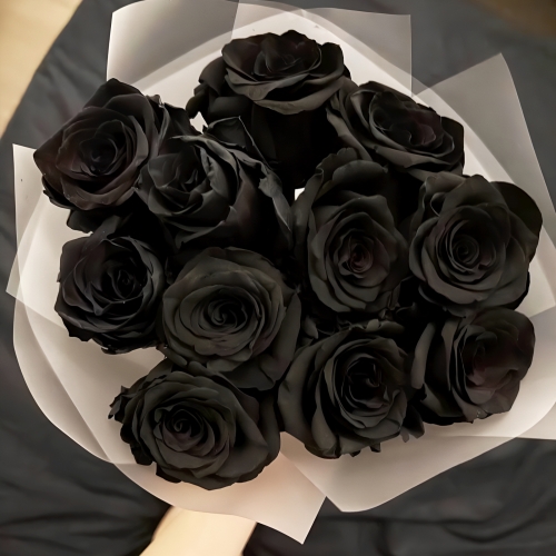 Букет "Черная королева" из 11 черных роз Эквадор (60 см) в Краснозаводске