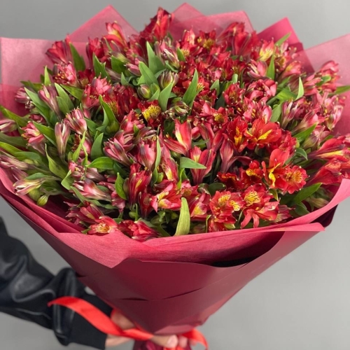 Монобукет из 25 красных альстромерий в Краснозаводске
