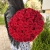 Букет 51 красной розы 50 см в Краснозаводске Букет 51 красной розы 50 см в Краснозаводске