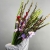 Букет из 25 гладиолусов микс в Краснозаводске Букет из 25 гладиолусов микс в Краснозаводске