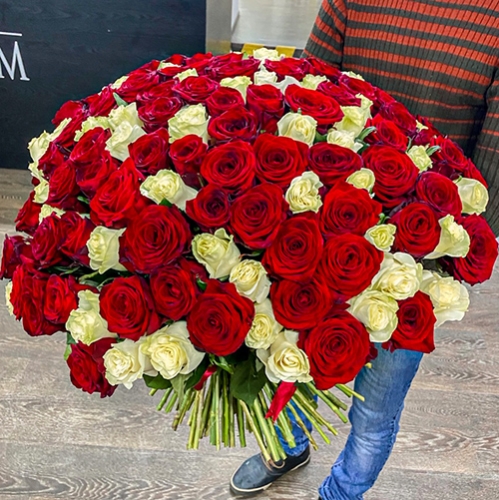 Букет 151 роза красный и белый микс (60 см) в Краснозаводске