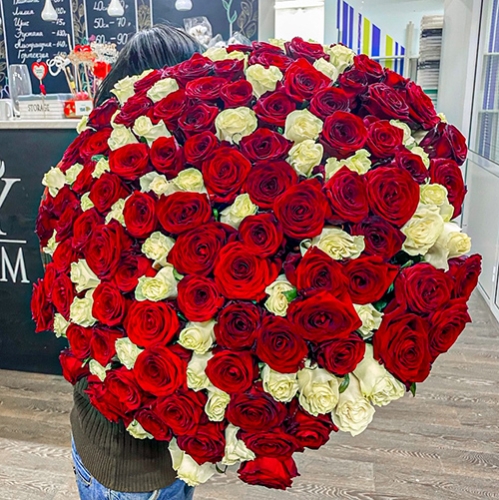 Букет 151 роза красный и белый микс (60 см) в Краснозаводске
