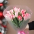 Букет "Фламинго" из 11 пионовидных тюльпанов в Краснозаводске Букет "Фламинго" из 11 пионовидных тюльпанов в Краснозаводске