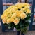 75 роз Аваланж (70 см) в Краснозаводске 75 роз Аваланж (70 см) в Краснозаводске