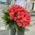 Букет 51 роза коралл (60 см) в Краснозаводске Букет 51 роза коралл (60 см) в Краснозаводске