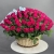 Композиция в корзине из 151 малиновой розы в Краснозаводске Композиция в корзине из 151 малиновой розы в Краснозаводске