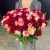 Букет 151 роза красный микс (50 см) в Краснозаводске