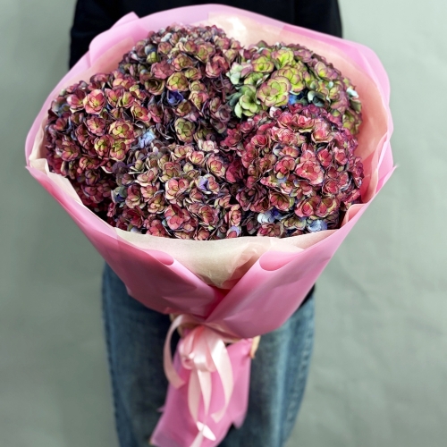Букет из 5 космических Голландских гортензий в Краснозаводске